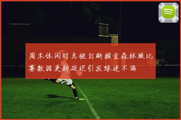 周末休闲时光被打断掘金森林狼比赛数据更新延迟引发球迷不满
