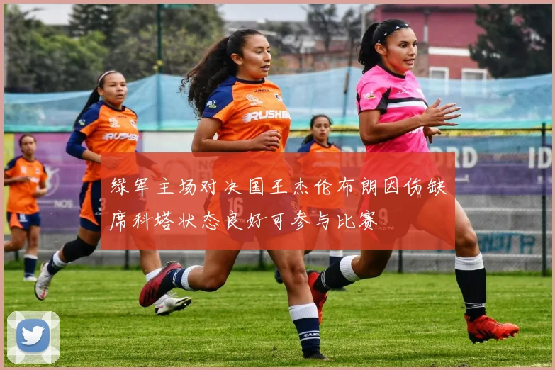 绿军主场对决国王杰伦布朗因伤缺席科塔状态良好可参与比赛